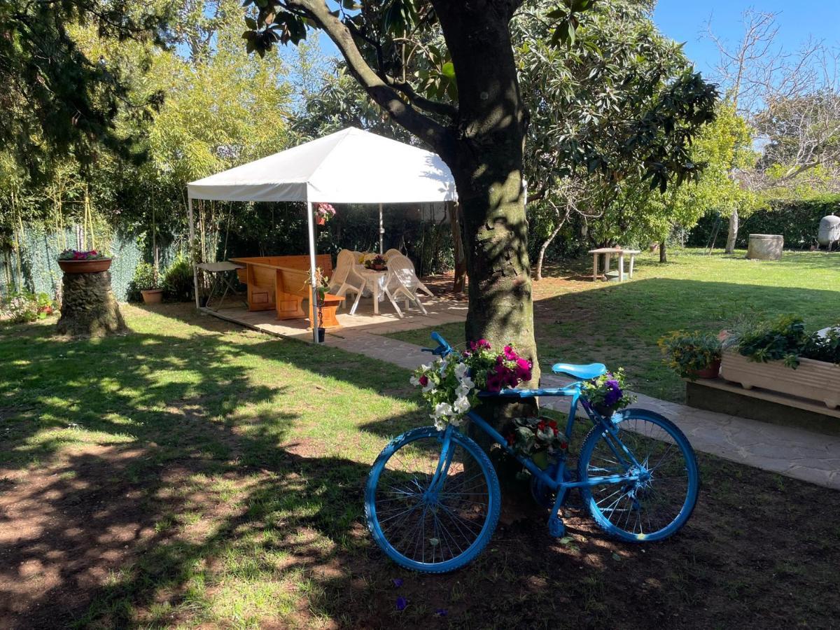 Appartamento In Villa Con Giardino Vicino Al Mare Bella Farnia Exterior photo